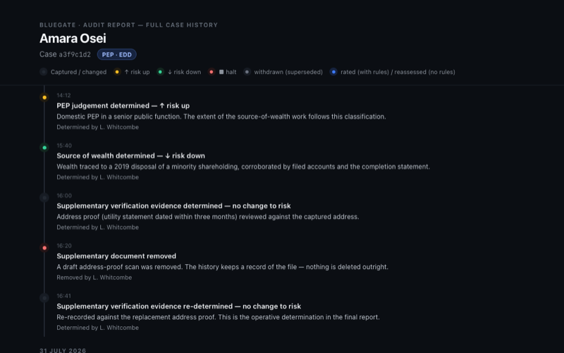 Audit report showing the full case history with timestamps and risk movements